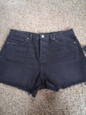NWT Hudson Lori Washed Black Denim Cut-Off High-Rise Raw Hem Button Fly Shorts